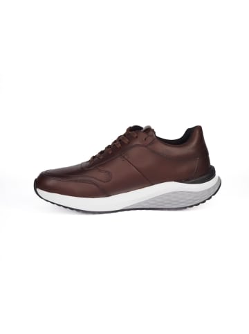 MBT Sneaker Low in braun