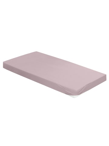 Irisette Spannbetttuch Premium-Stretch Porto in rosa