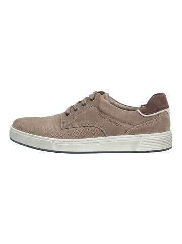 Pius Gabor Sneaker in Beige/Grau