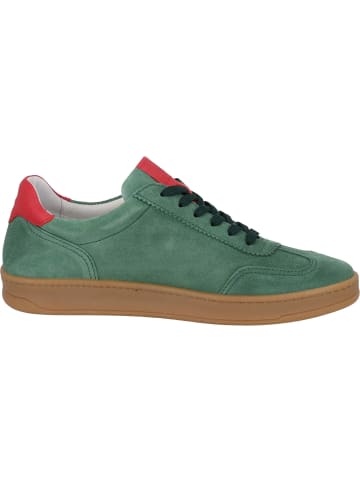 palado Sneakers in Green