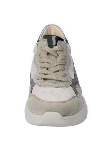 Gabor Lowtop-Sneaker in salvia kombi