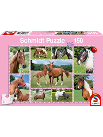 Schmidt Spiele Pferdeträume, 150 Teile - Kinderpuzzle