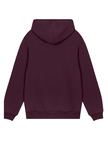 F4NT4STIC Hoodie Deck Chair Club Knut und Jan in maroon