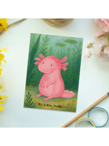 Mr. & Mrs. Panda Postkarte Axolotl Niedlich Design ohne Spruch in Weiß