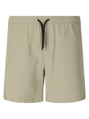 Virtus Badeshorts Kansae in 3250 Dried sage