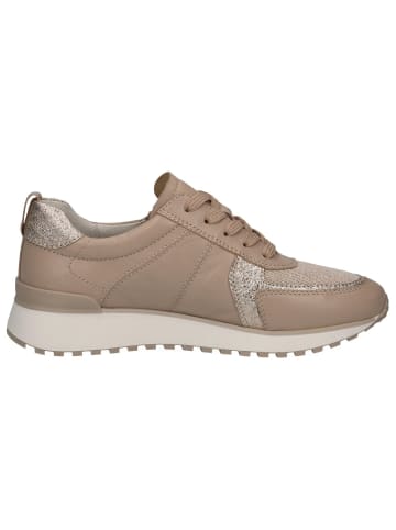 Caprice Sneaker in BEIGE COMB