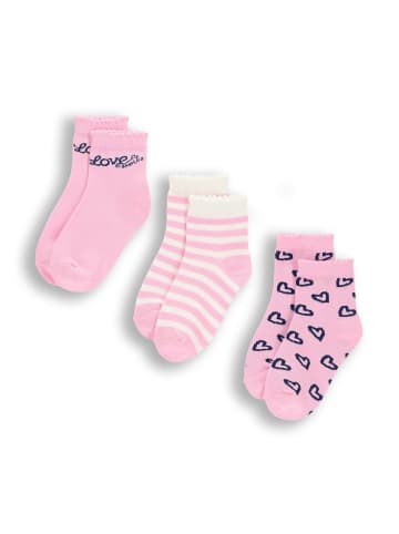 Coccodrillo Socken in bunt