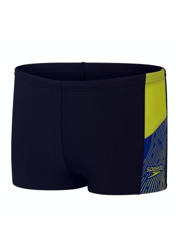 Speedo Dive Badeshorts in Blau