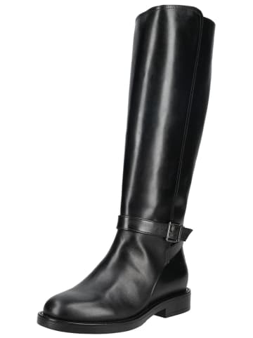 Nero Giardini Stiefel in Schwarz