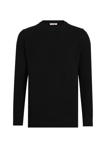 Felix Hardy Pullover in Schwarz