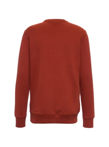 Dickies Sweatshirt Aitkin in fired brick-gray