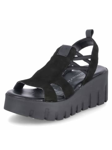 Tamaris Sandalette in schwarz