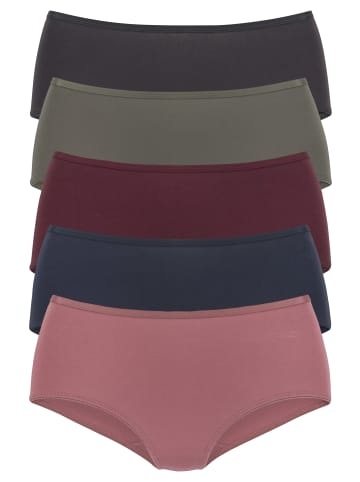 Vivance Taillenslip in altrosa, navy, khaki, bordeaux, anthrazit