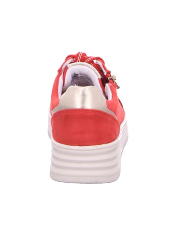 Marco Tozzi Schnürschuhe in CHERRY COMB