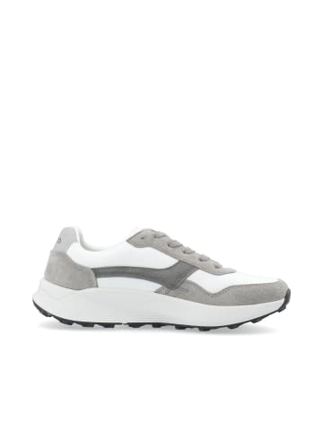 Bianco Sneakers in Grey