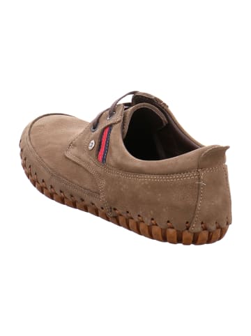 Gemini Komfort Schnürschuhe in Braun
