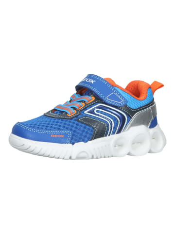 Geox Sneaker in Blau/Orange