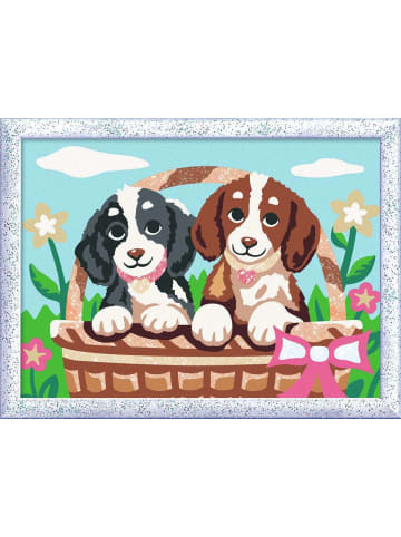 Ravensburger Ravensburger Kreativität Hunde im Körbchen in bunt