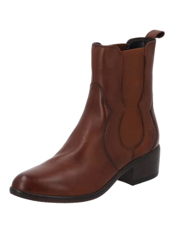 palado Stiefeletten in COCNAC