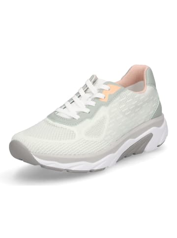 Gabor Comfort Sneaker in Mint