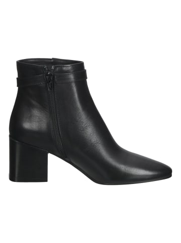 Scapa Stiefelette in Schwarz