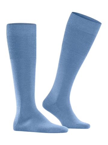 Falke Socken 1er Pack in Hellblau