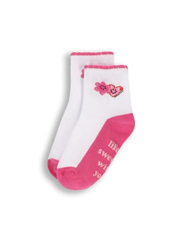 Coccodrillo Socken in bunt