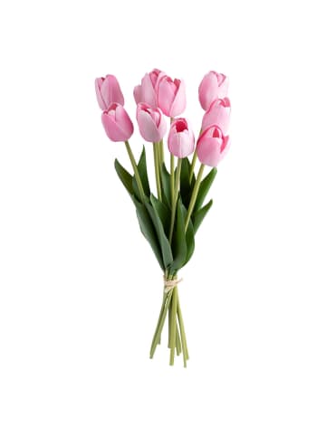 Atmosphera Créateur d'intérieur Tulpen in rosa
