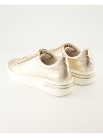 Gabor Sneaker in Gold