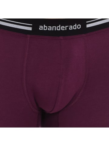 Abanderado Boxershorts in Purple