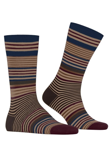 Burlington Socken Stripe in Camel