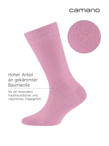 camano Socken 6er Pack orchid smoke