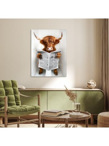 OnlyWow Poster Zeitung Schottisches Hochlandrind