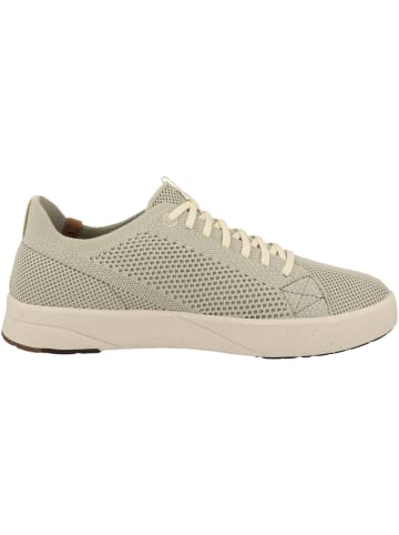 Saola Sneaker low Cannon Knit W 2.0 XT in gruen