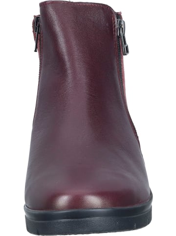 Comfortabel Klassische Stiefeletten in bordeaux