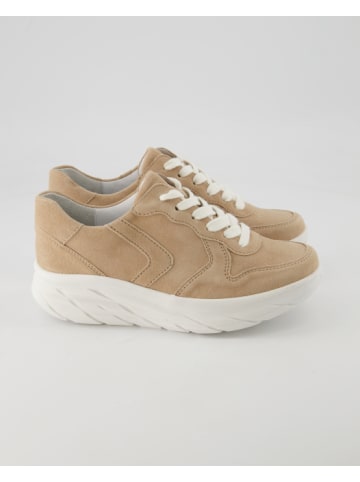 Semler Sneaker in Beige