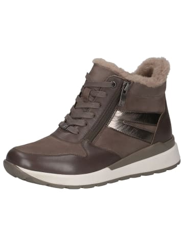 Caprice Sneaker in TAUPE COMB