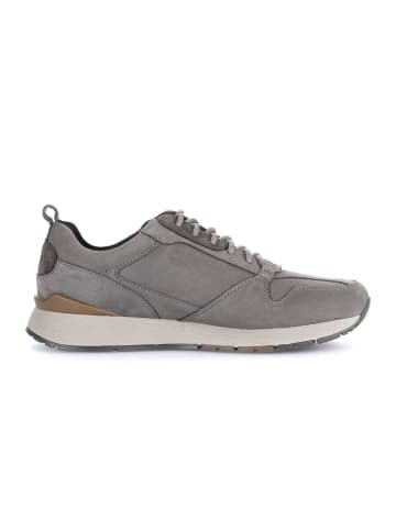 Gabor Sneaker low in grau