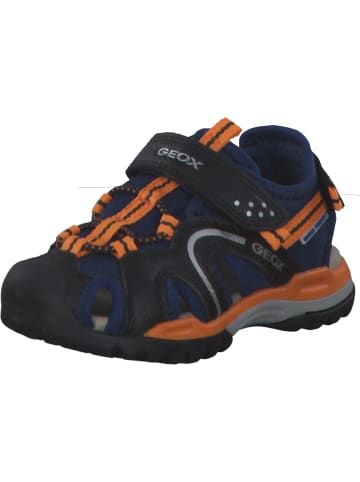 Geox Sandalen in NAVY/ORANGE