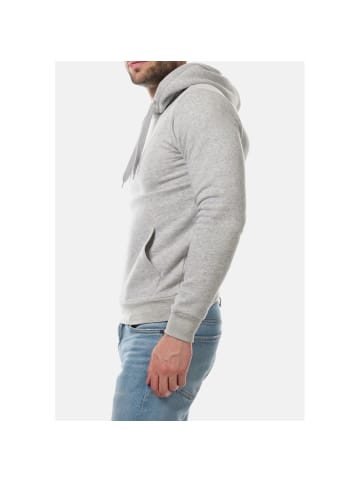 HopenLife Hoodie ACCOLADE in Grau