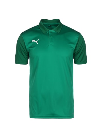 Puma Poloshirt TeamGOAL 23 Sideline in grün