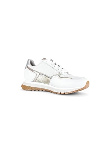Gabor Sneaker low in multicolour