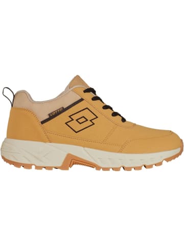 Lotto Sneaker "Sneaker" in Braun