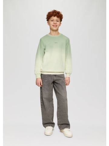 s.Oliver Sweatshirt in 0330_hellgrün