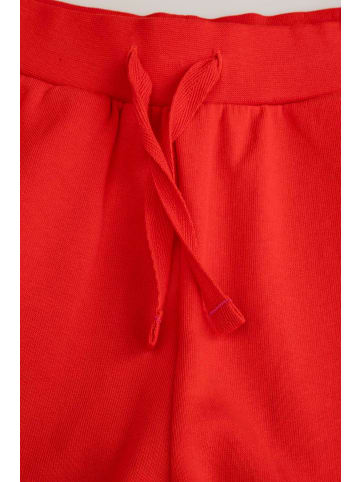 Coccodrillo Jogginghose in rot
