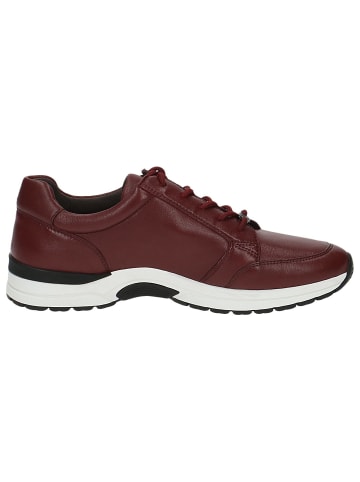 Caprice Sneaker in BORDEAUX NAPPA