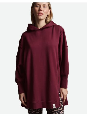 Cotton Candy Sweatshirt in burgundy