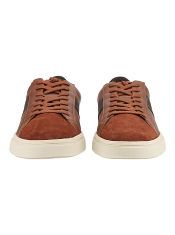 Geox Sneaker BALTMOORE in Cognac