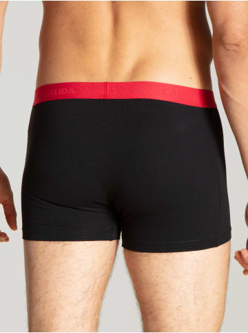Calida New Boxer, 3er-Pack in polychrome