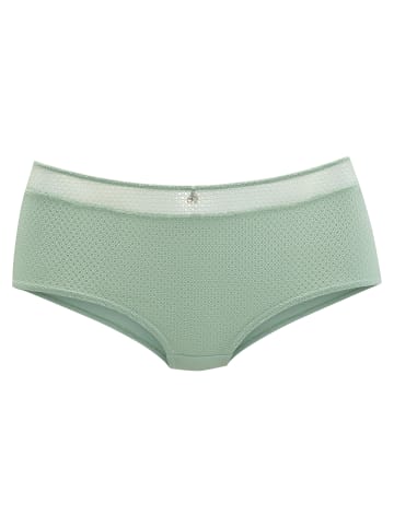nuance Panty in salbei
